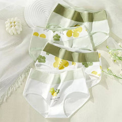 Women Cartoon Shaping Briefs 4pcs