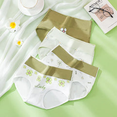 High Waist Cotton Briefs 4 Pack