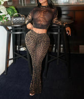 Leopard Print Mesh 2-Piece Set – Sheer Crop Top & Pants Clubwear