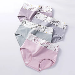 High Waist Cotton Briefs 4 Pack