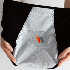 Plus Size Leak Proof Period Briefs 4pcs