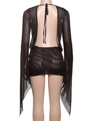 Sheer Mesh Deep V Mini Dress
