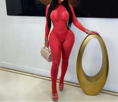 Long Sleeve Sheer Mesh Bodycon Catsuit
