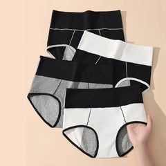 Plus Size Leak Proof Period Briefs 4pcs