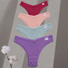 Four pairs of colorful underwear on a gray background with a cotton plant.