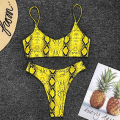 Women's Chic Bikini Leopard Bathing Suit Two Piece Chic Swimsuit