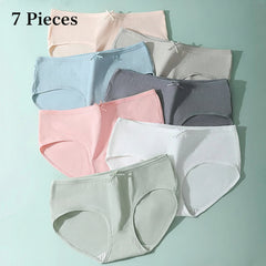 Set of women's underwear in various colors on a light blue background