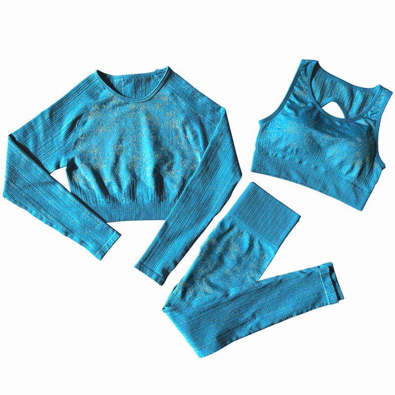 Two Piece Blue Crop Top Bra Leggings Yoga Wear Gym Set